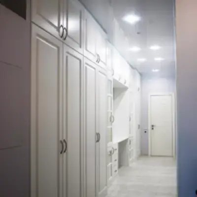 Большая классическая прихожая в коридоре