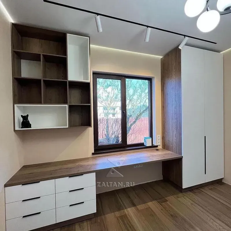 Шкаф и рабочее место в детскую