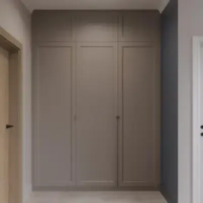 Встроенный шкаф в прихожую